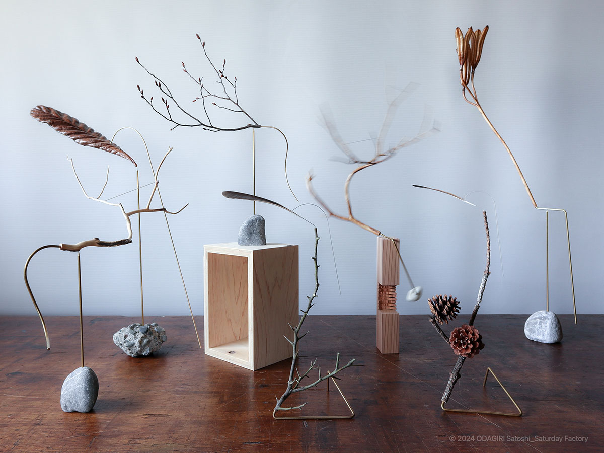 Phenology