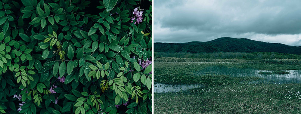 THREE ESSENTIAL SCENTS