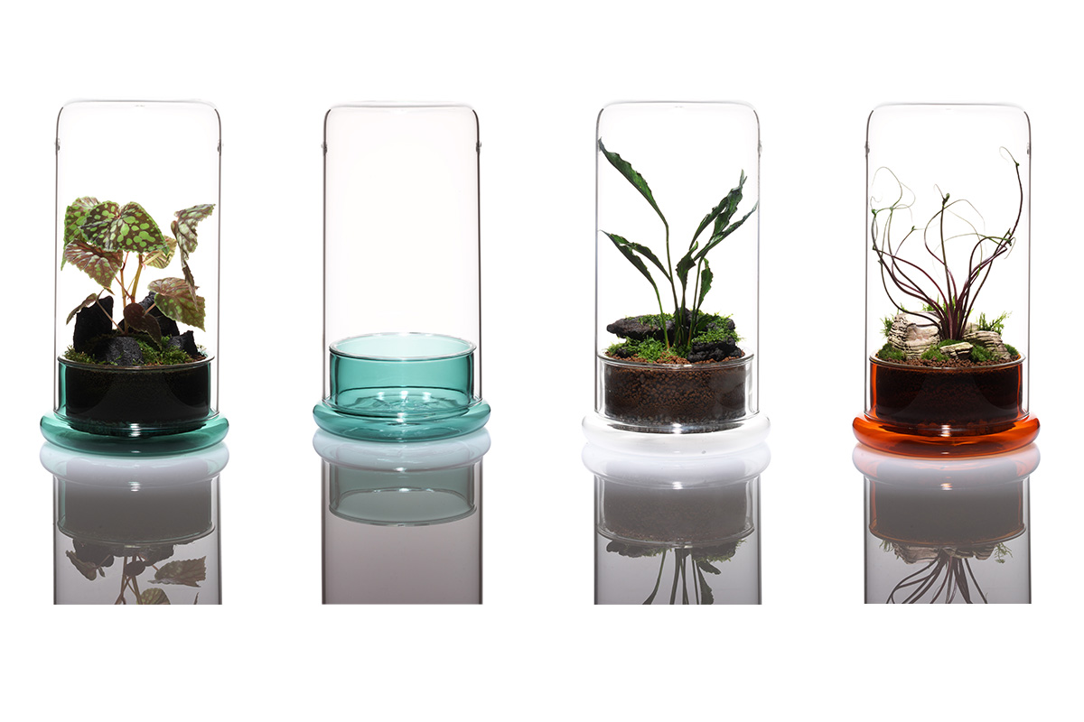 Biophilia