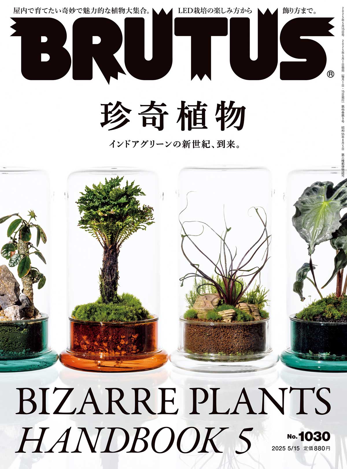 Biophilia