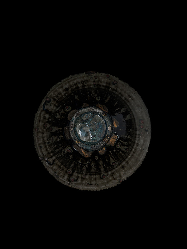 器奏 – Borderless 2026 –