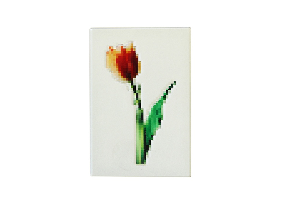 toumei / トウメイ】pixel flower card（カーネーション）の商品
