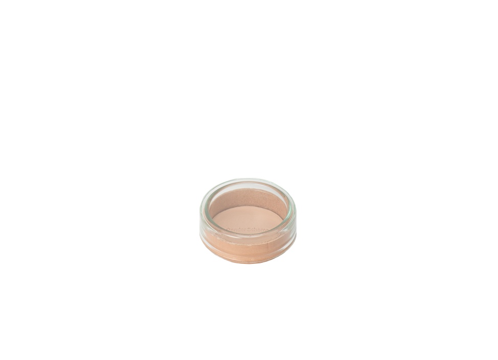 Hender Scheme / エンダースキーマpetri dishセット Hender Scheme / エンダースキーマ】化瓶：petri dish 花器 L