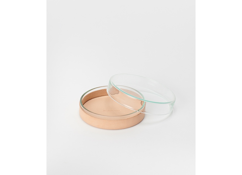 Hender Scheme / エンダースキーマ】化瓶：petri dish 花器 L