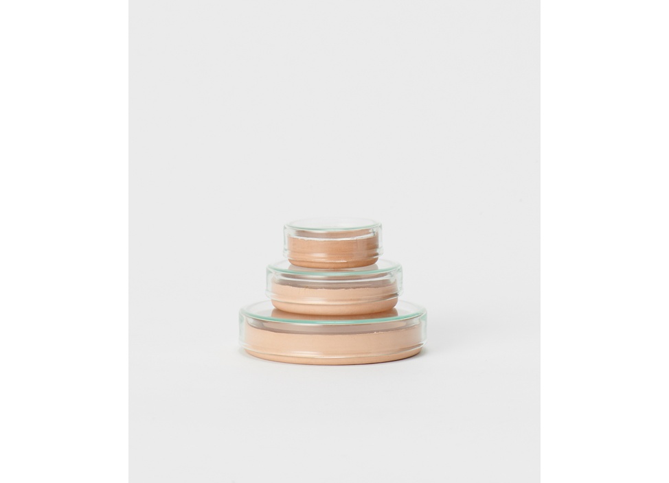 Hender Scheme / エンダースキーマpetri dishセット Hender Scheme / エンダースキーマ】化瓶：petri dish 花器 L