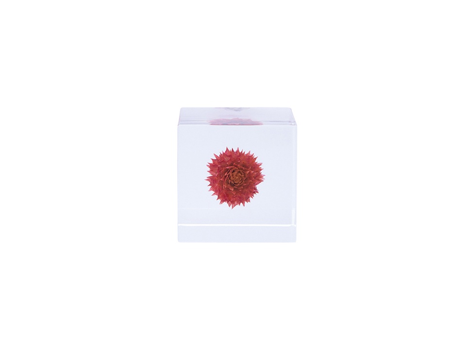 センソユニコ　専用です　cube cube  ヒッコリー×ドット柄 Cube-Cube | Sensounico ONLINE STORE