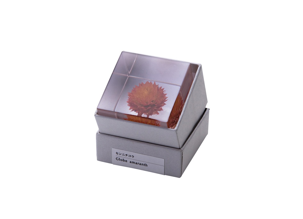【はな】ウサギノネドコ Sola cube Sola cube Mineral | ウサギノネドコ