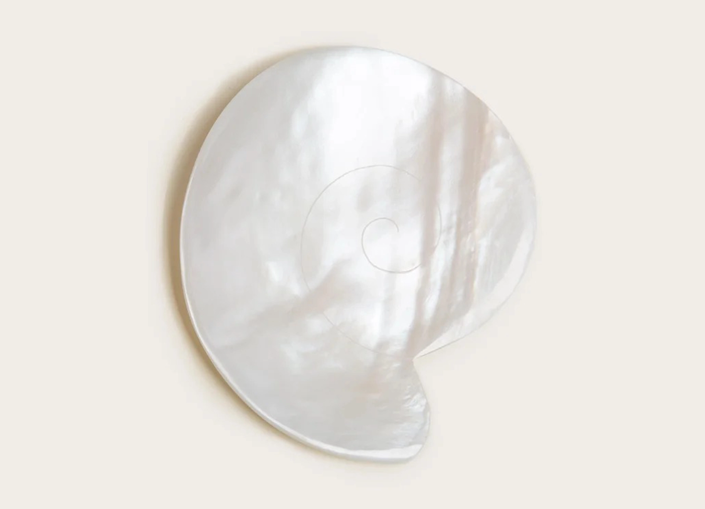 【GOHAR WORLD / ゴハール・ワールド】NAUTILUS DISH プレート