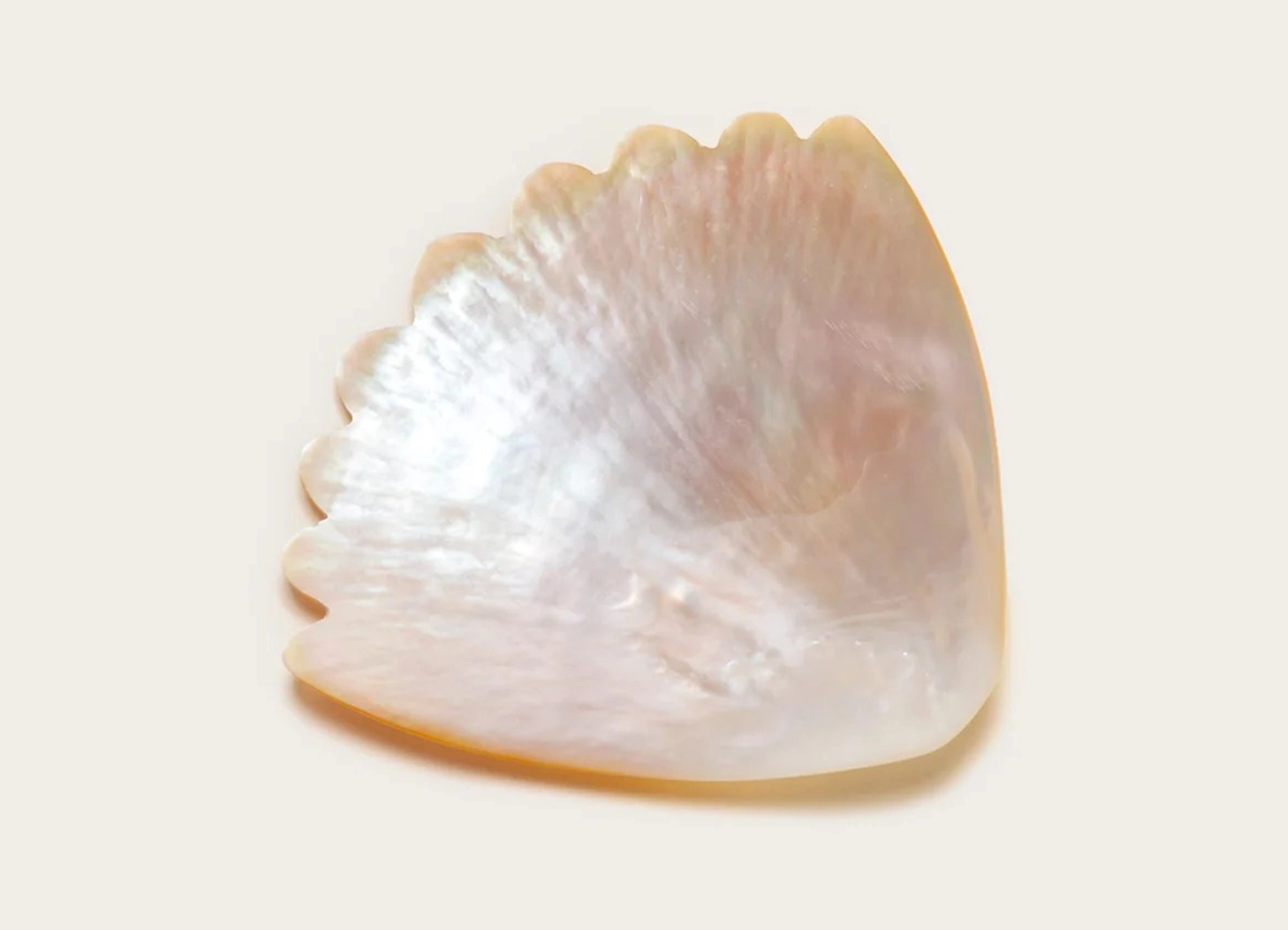 【GOHAR WORLD / ゴハール・ワールド】COQUILLE DISH プレート