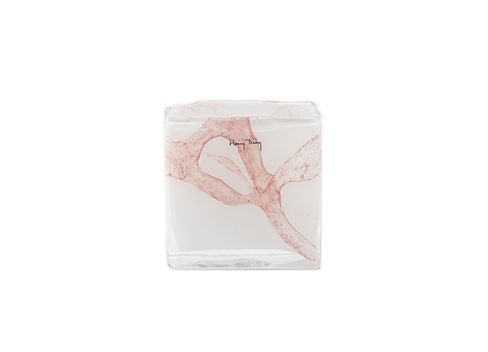 Henry Dean / ヘンリーディーン】花器 Square XS / コルゾの商品